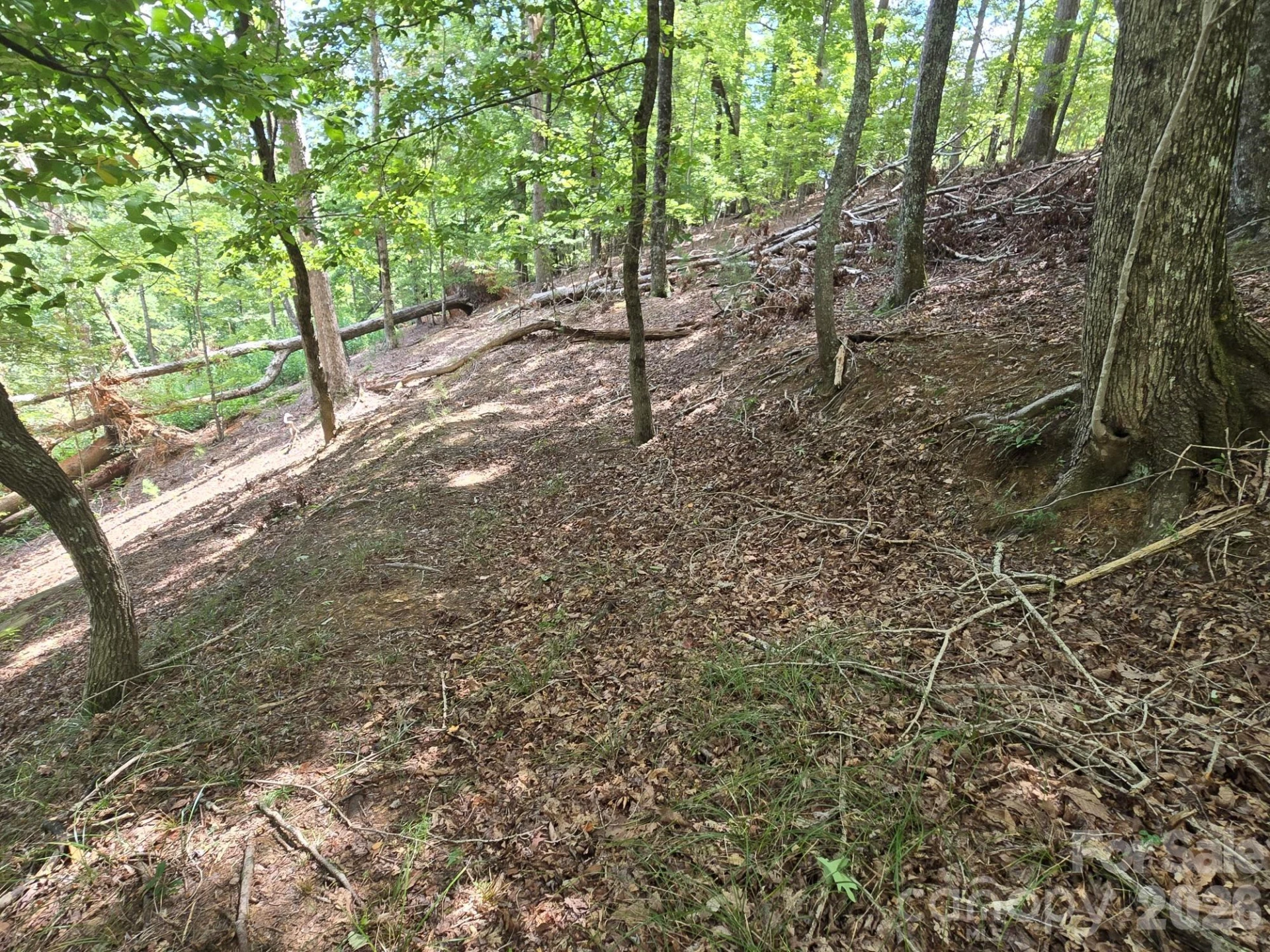 Lot 34 Hawks Nest Trail - Photo 8