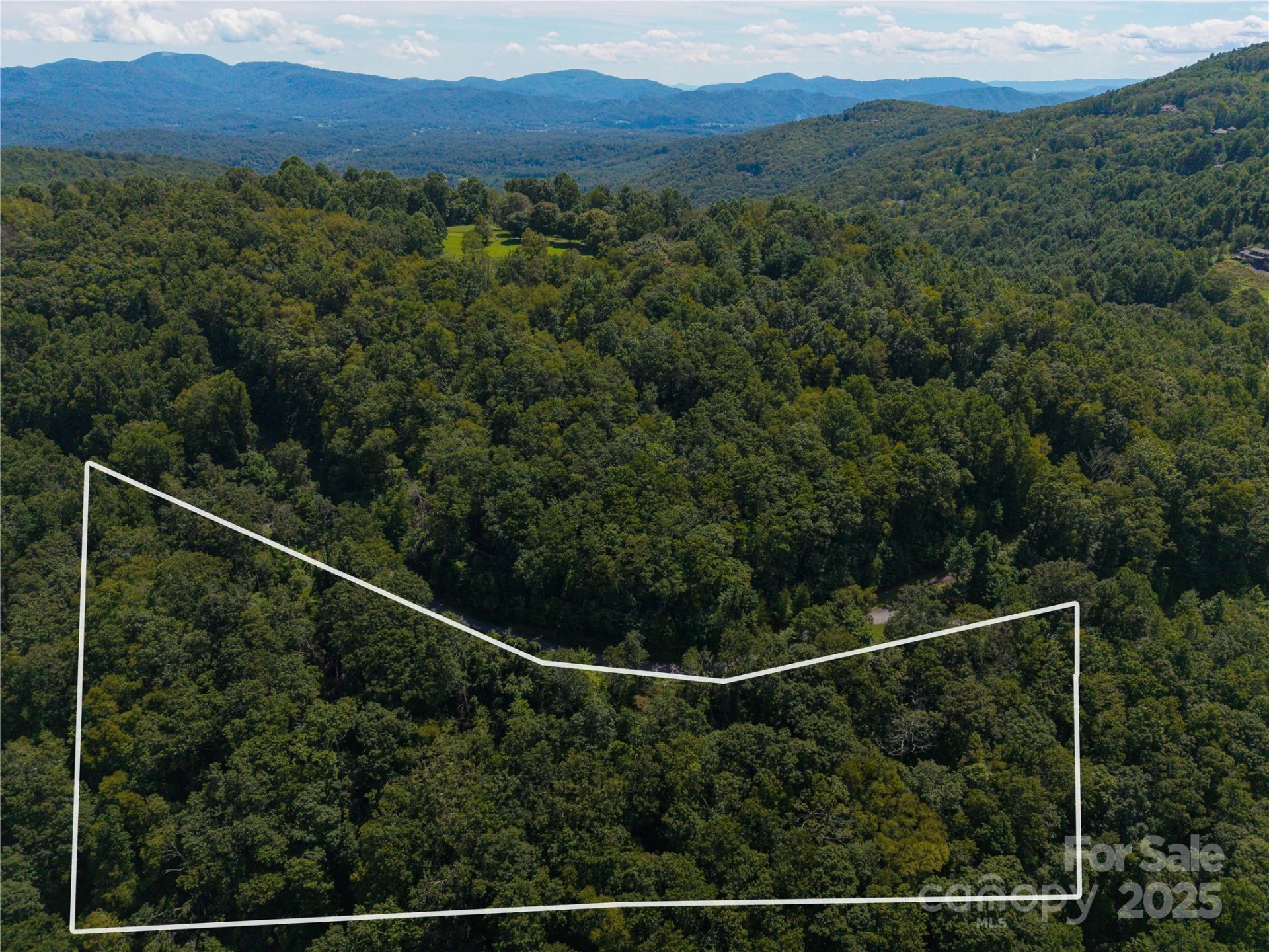 52 Castanea Mountain Drive - Photo 3