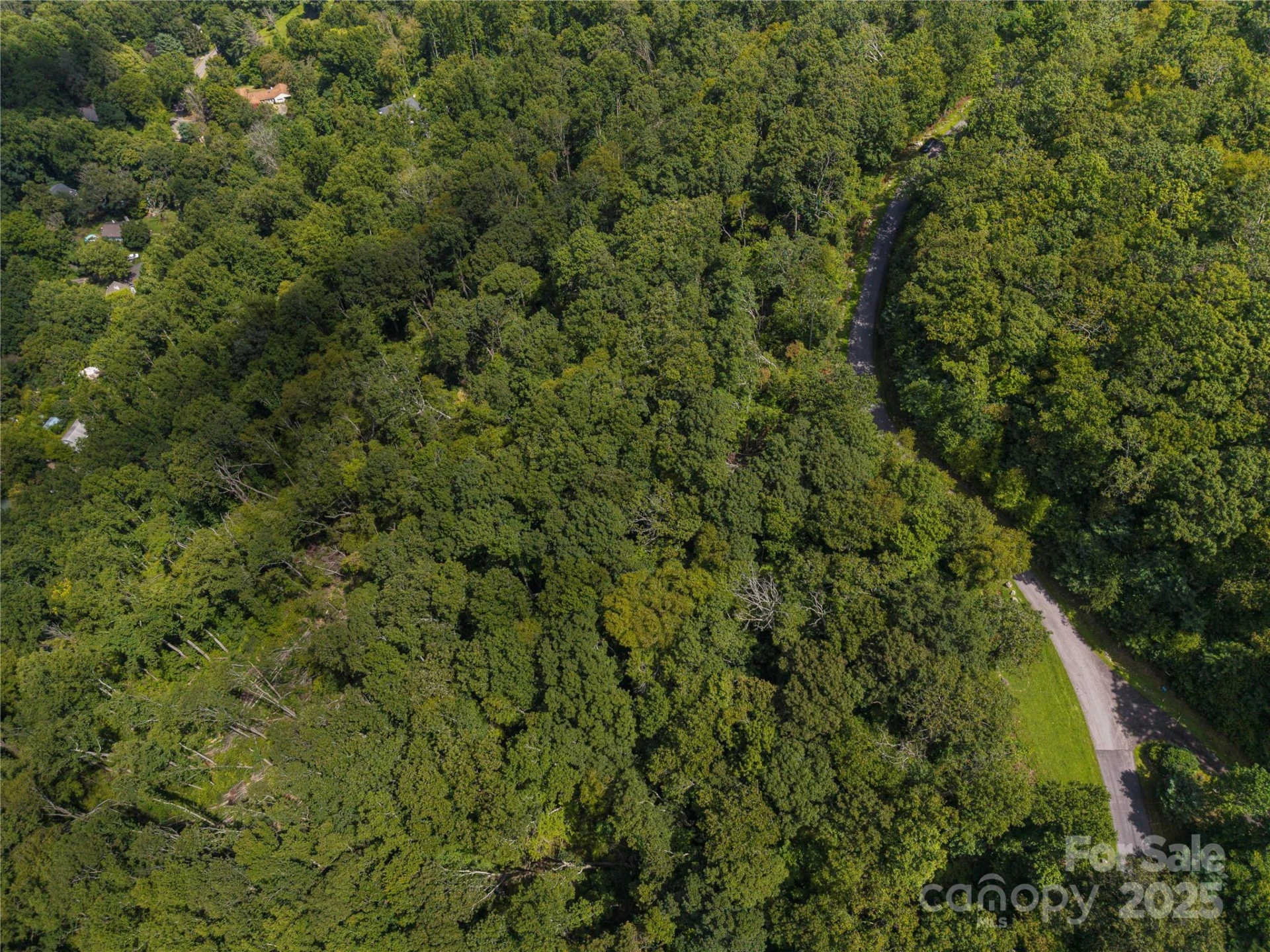52 Castanea Mountain Drive - Photo 4