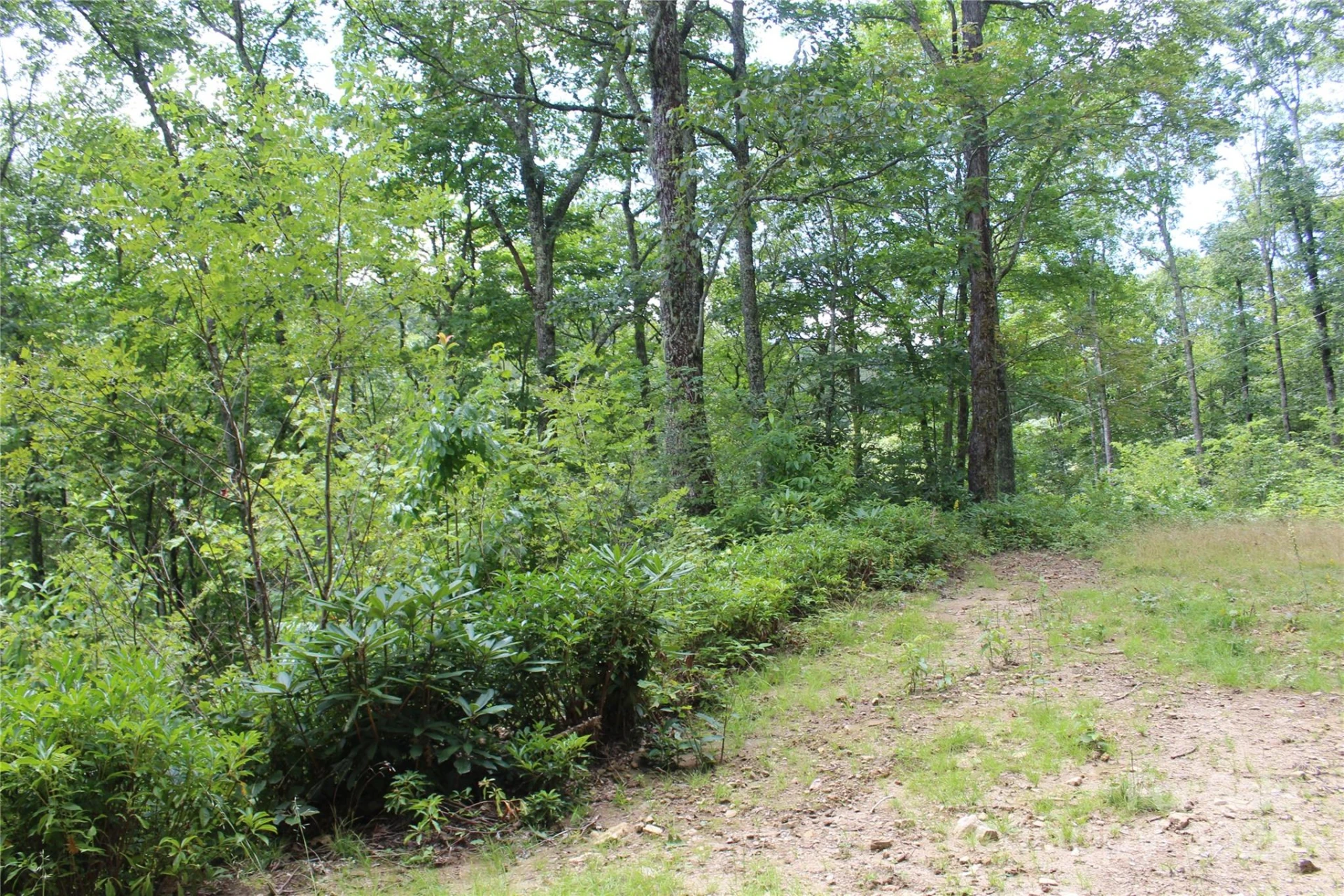 920 Autumn Drive - Photo 17