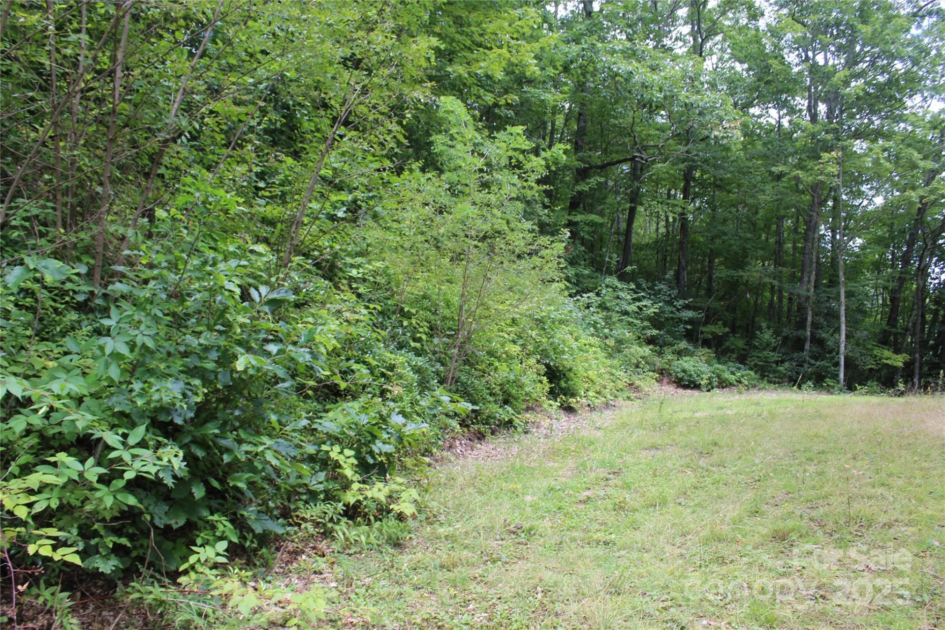 920 Autumn Drive - Photo 3