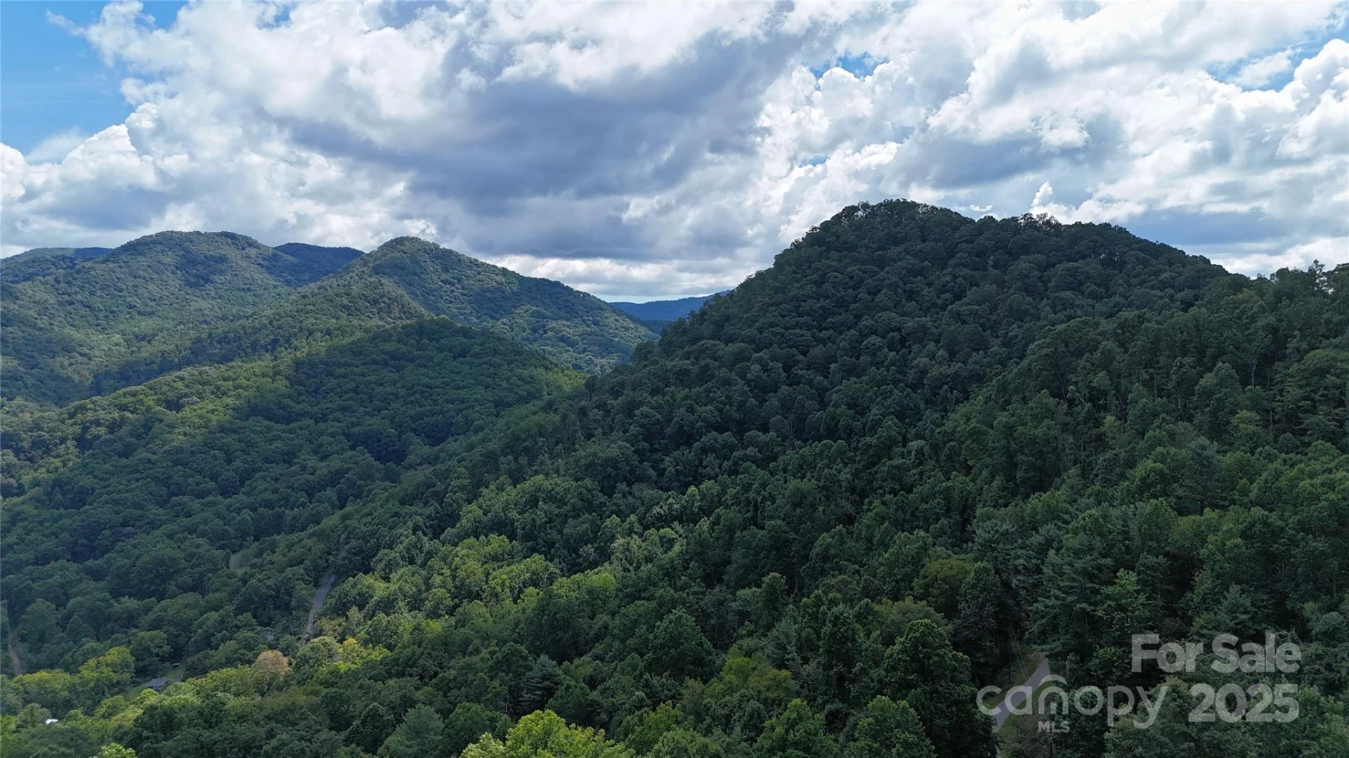 607 Rocky Top Trail - Photo 9