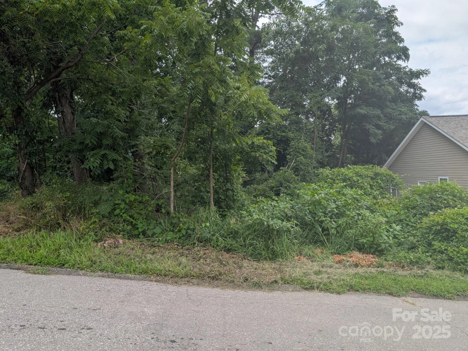 0000 Booker Street - Photo 2