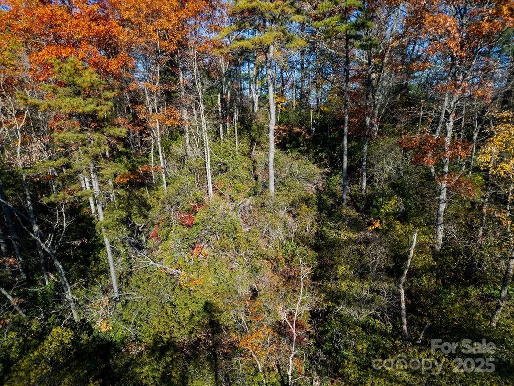 TBD Morgan Drive #Tract II - Photo 11