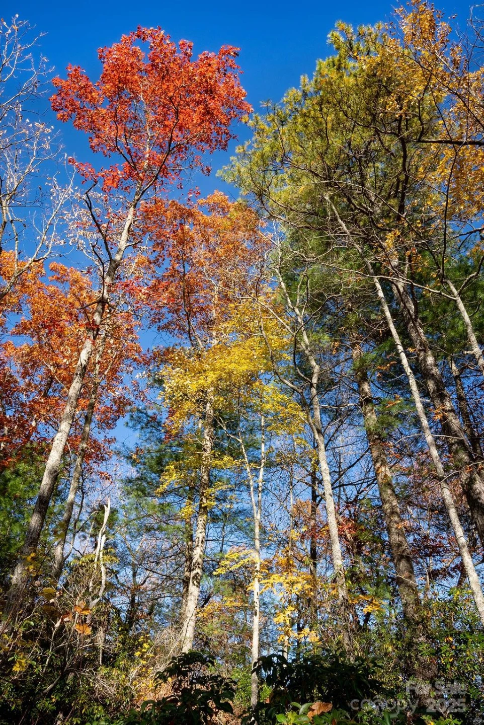 TBD Morgan Drive #Tract II - Photo 13