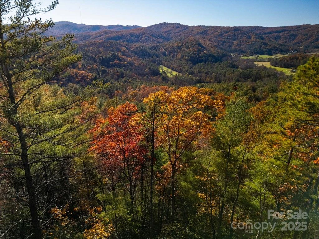 TBD Morgan Drive #Tract II - Photo 3