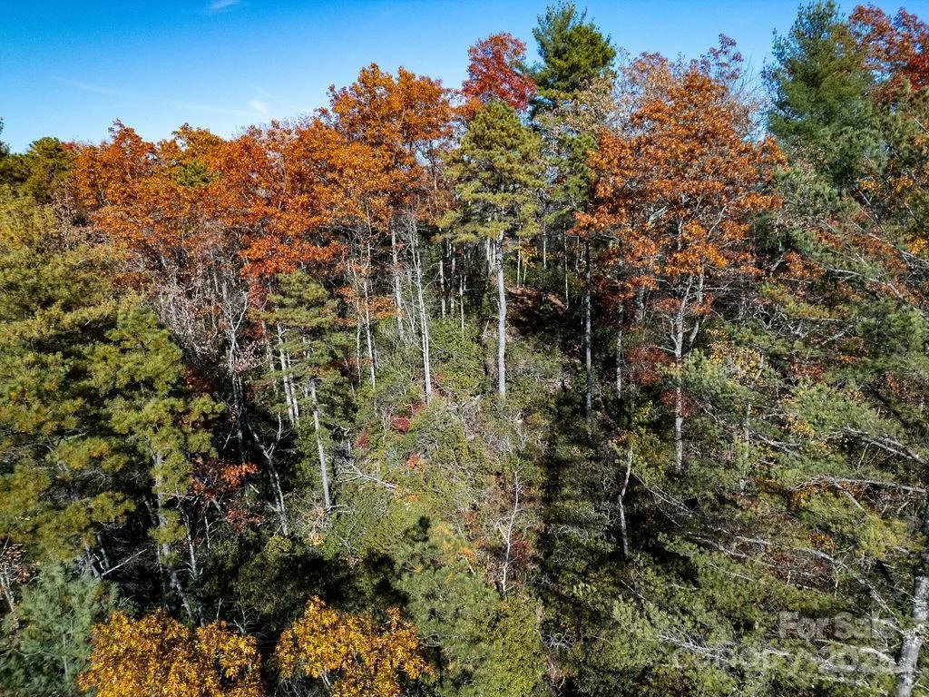 TBD Morgan Drive #Tract II - Photo 10