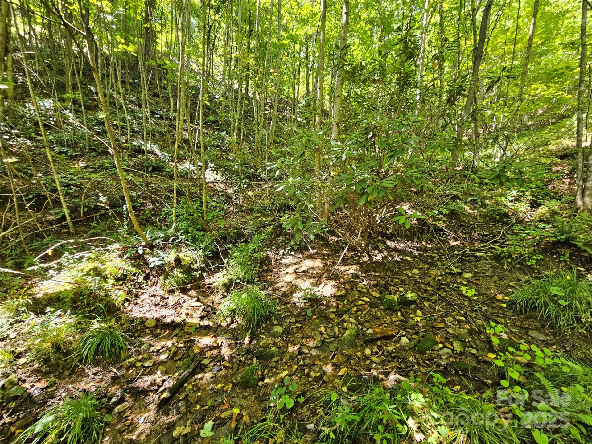 112 Steinwald Trail - Photo 12
