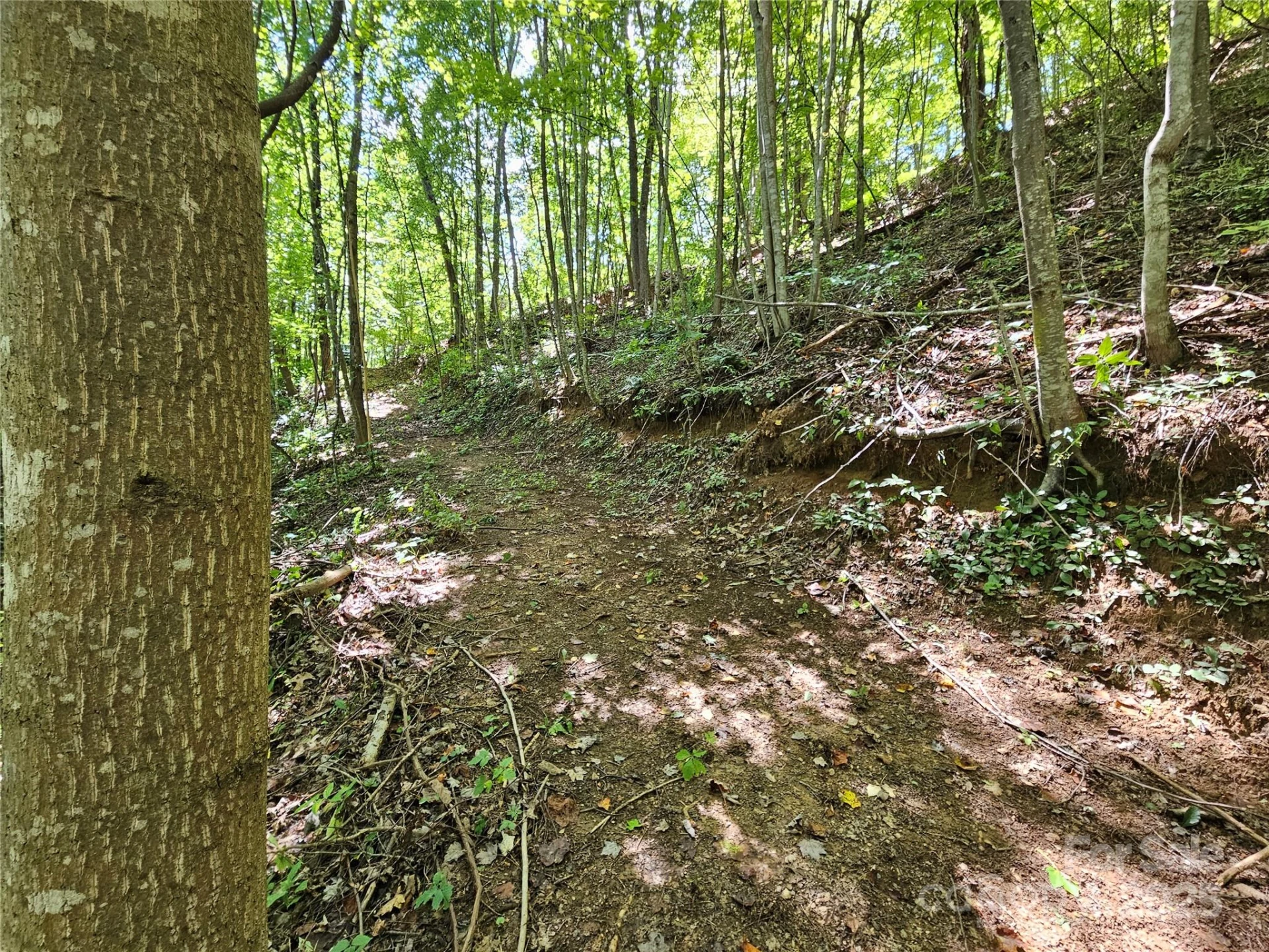 112 Steinwald Trail - Photo 4