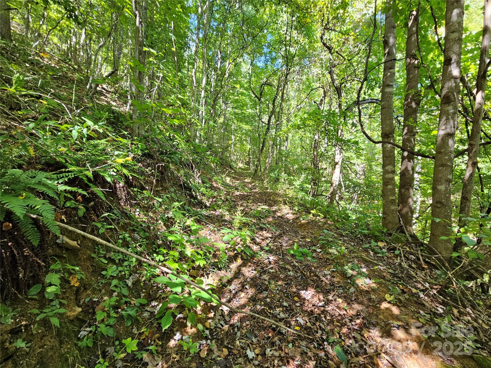 112 Steinwald Trail - Photo 7