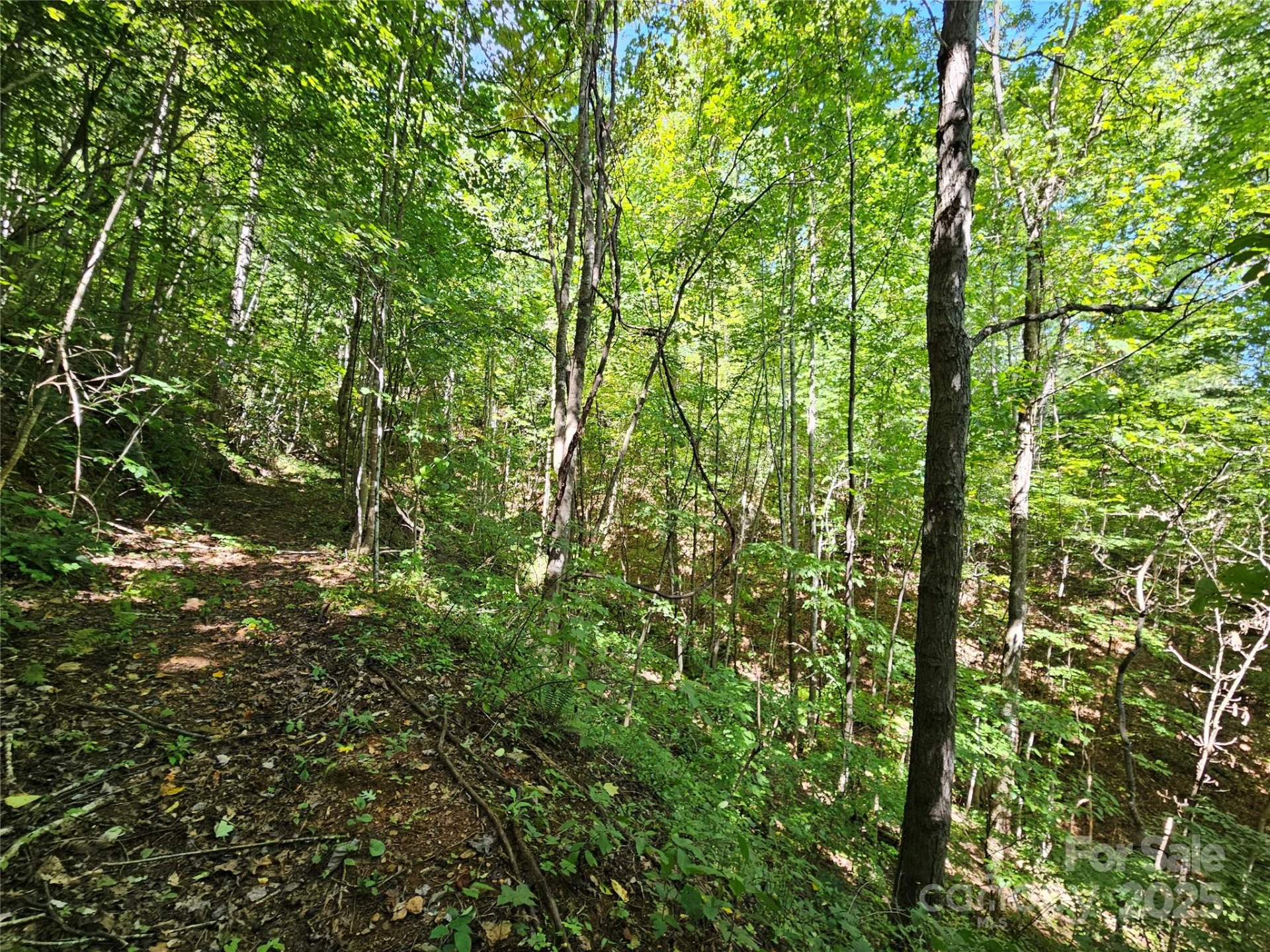 112 Steinwald Trail - Photo 8