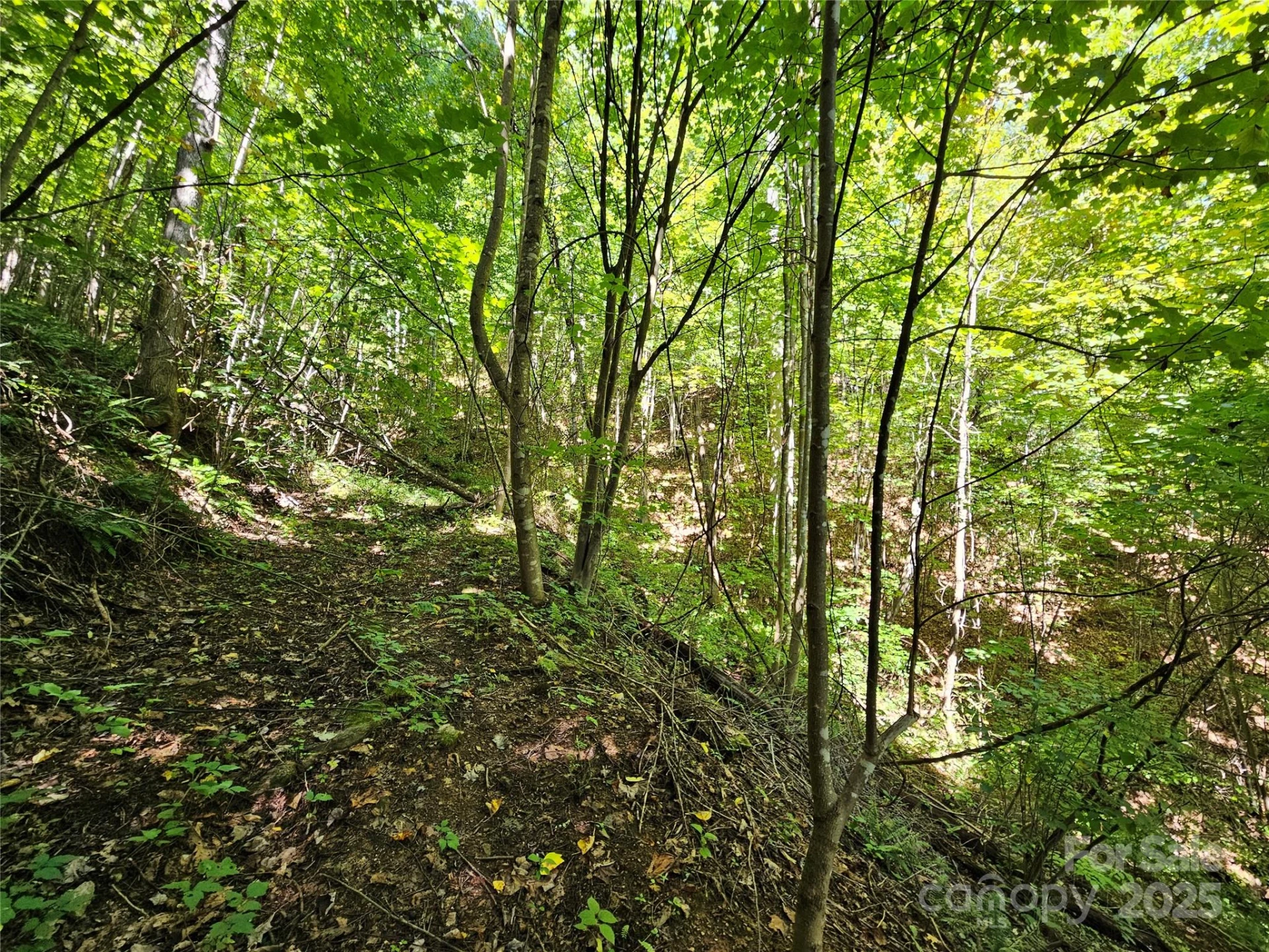 112 Steinwald Trail - Photo 9