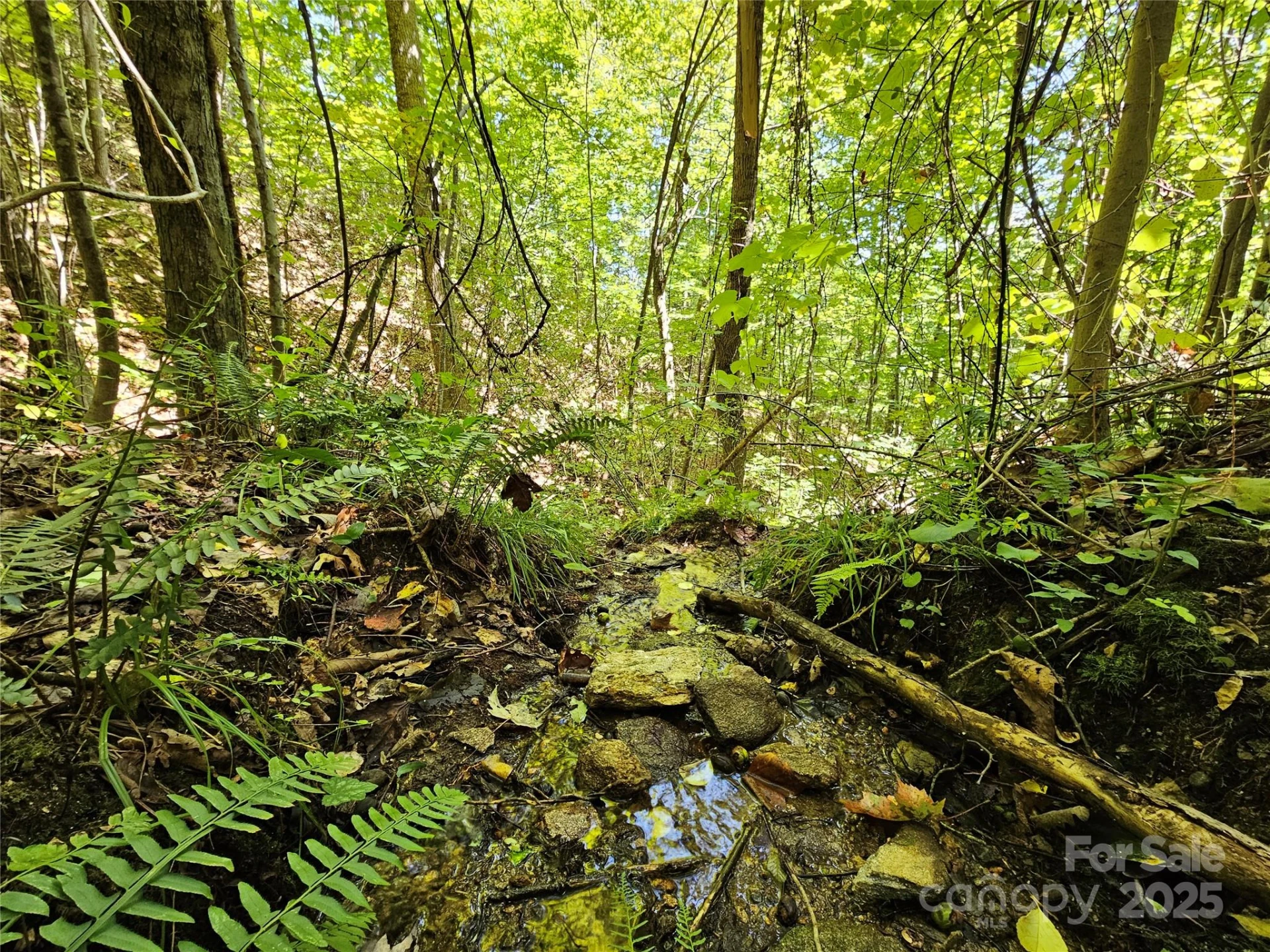 112 Steinwald Trail - Photo 10