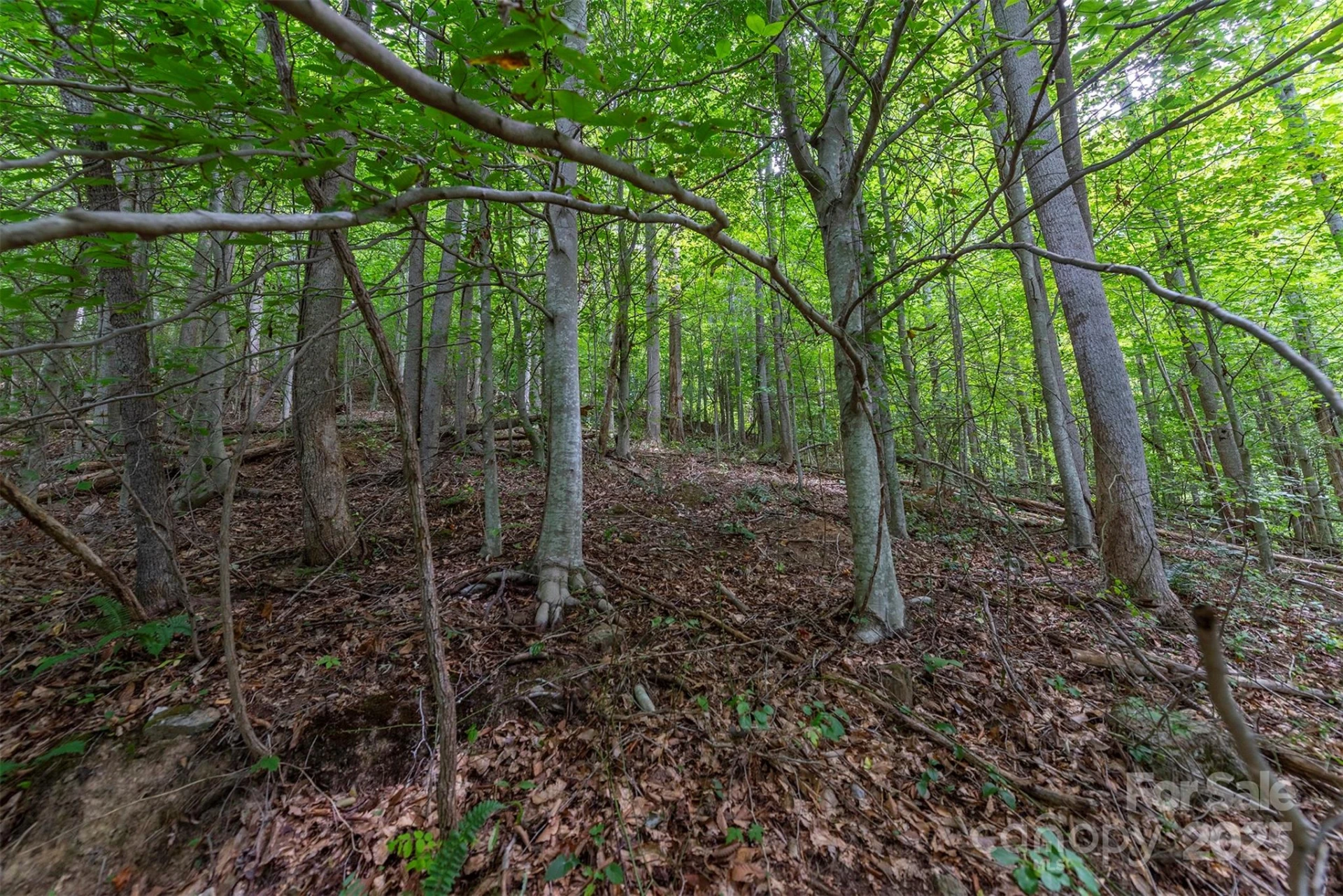 72 Applewood Lane #93 - Photo 5