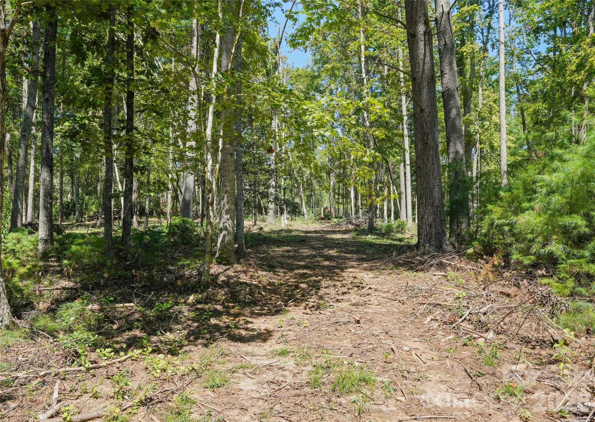 15 Mirehouse Run