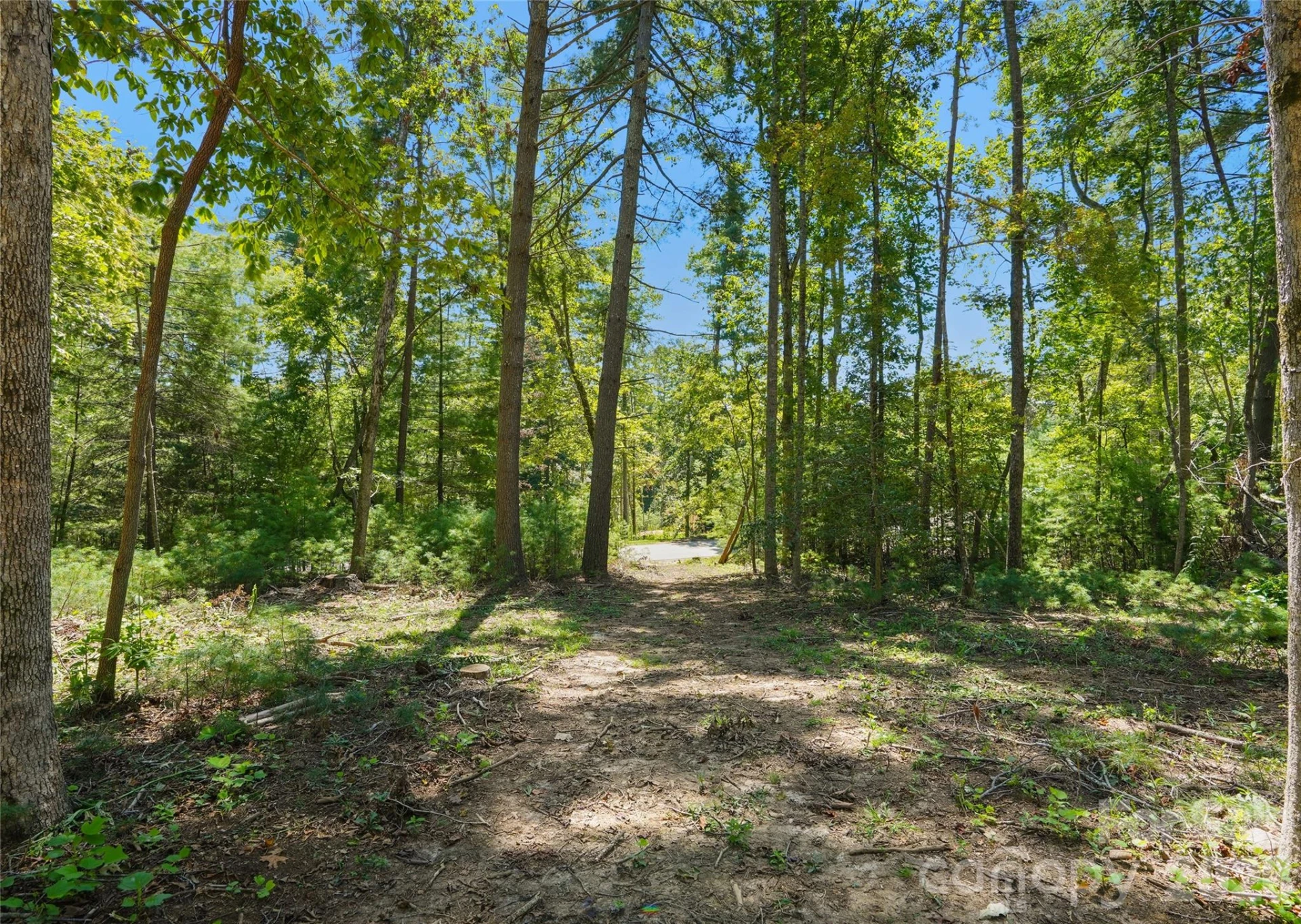 15 Mirehouse Run - Photo 2