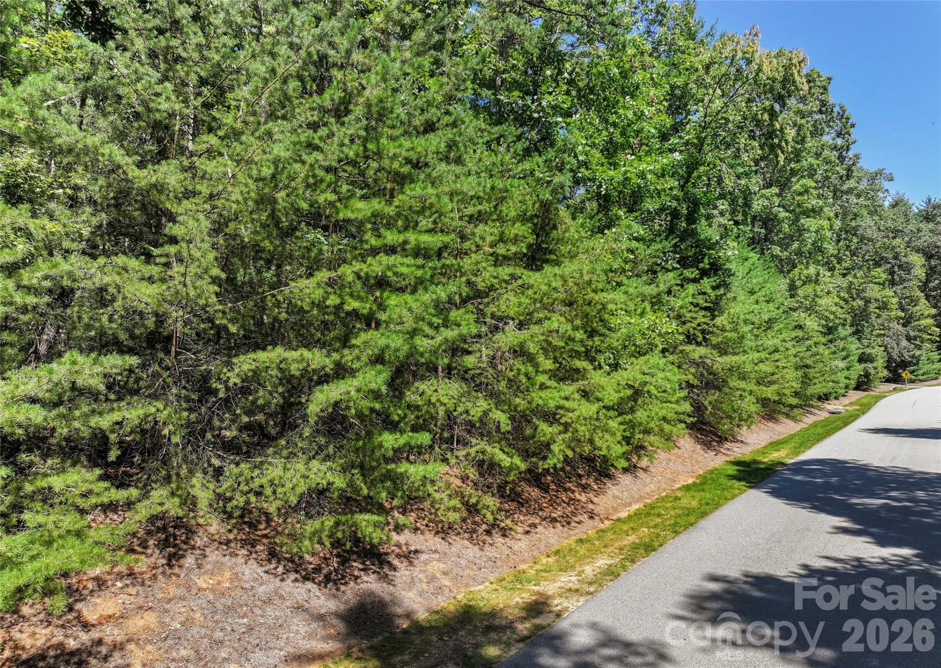 15 Mirehouse Run - Photo 5