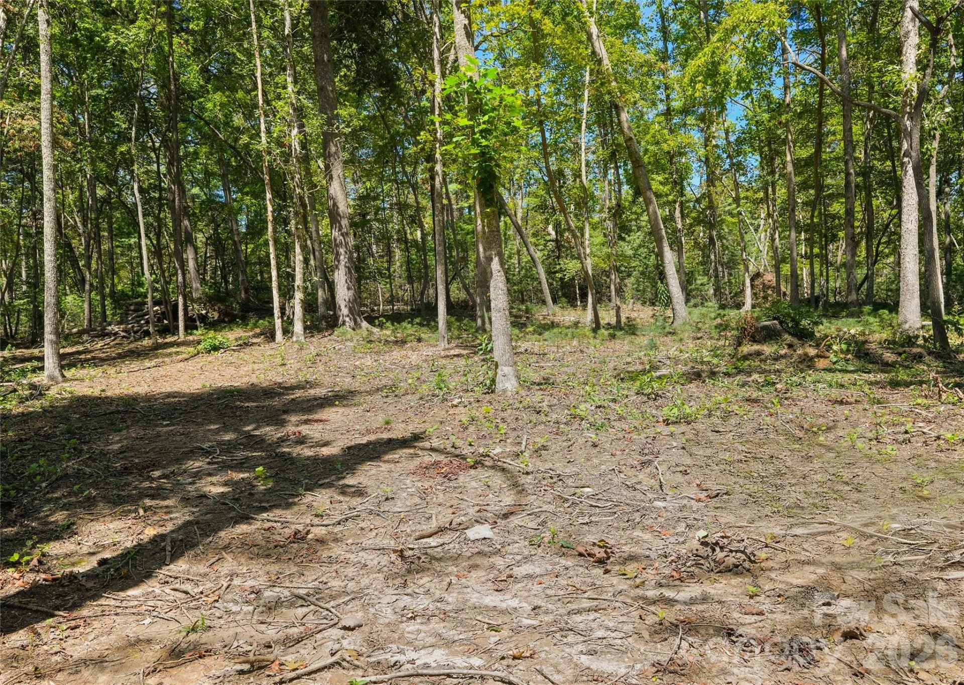 15 Mirehouse Run - Photo 7