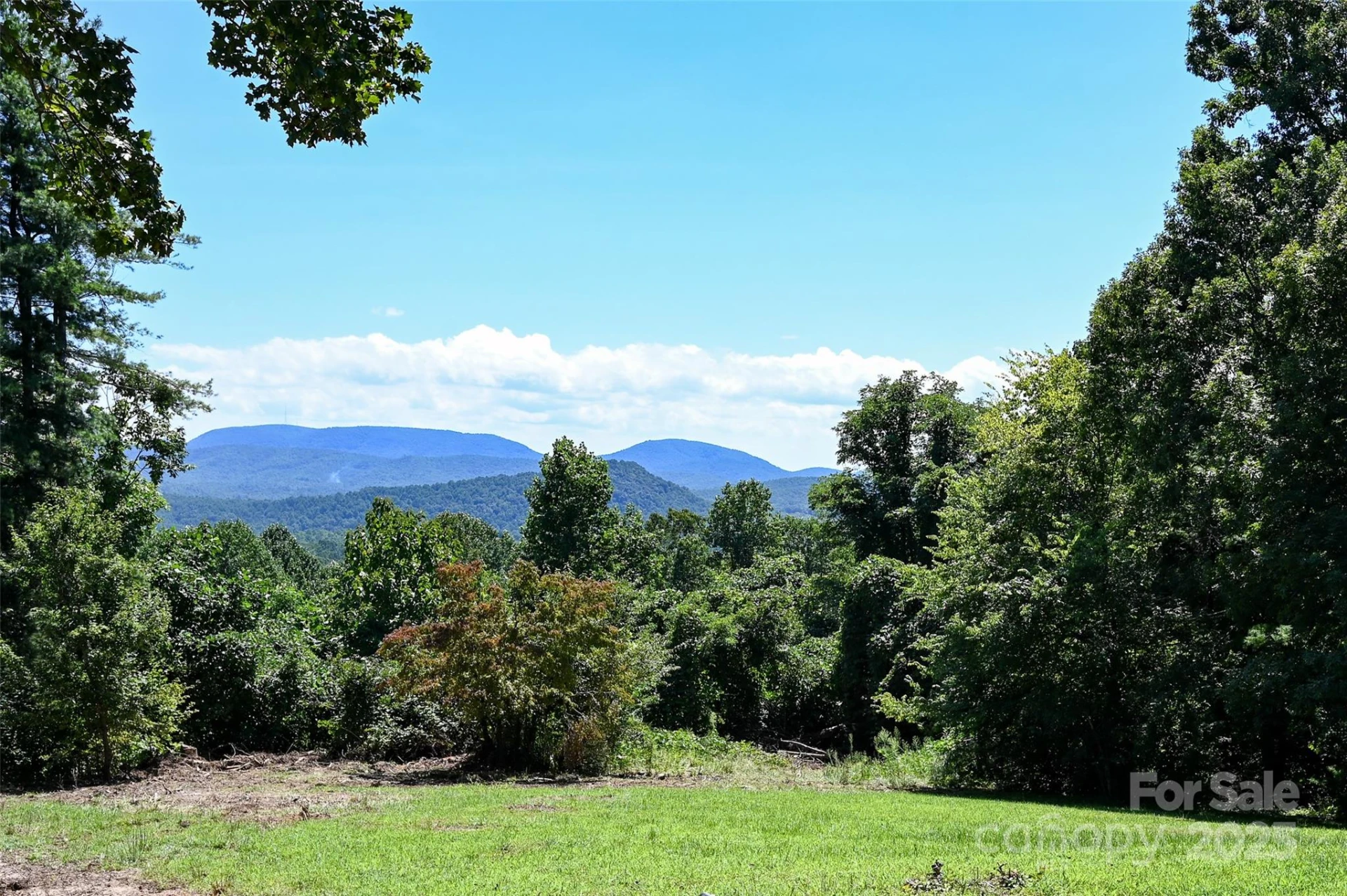 371 Heatherly Heights Road - Photo 4