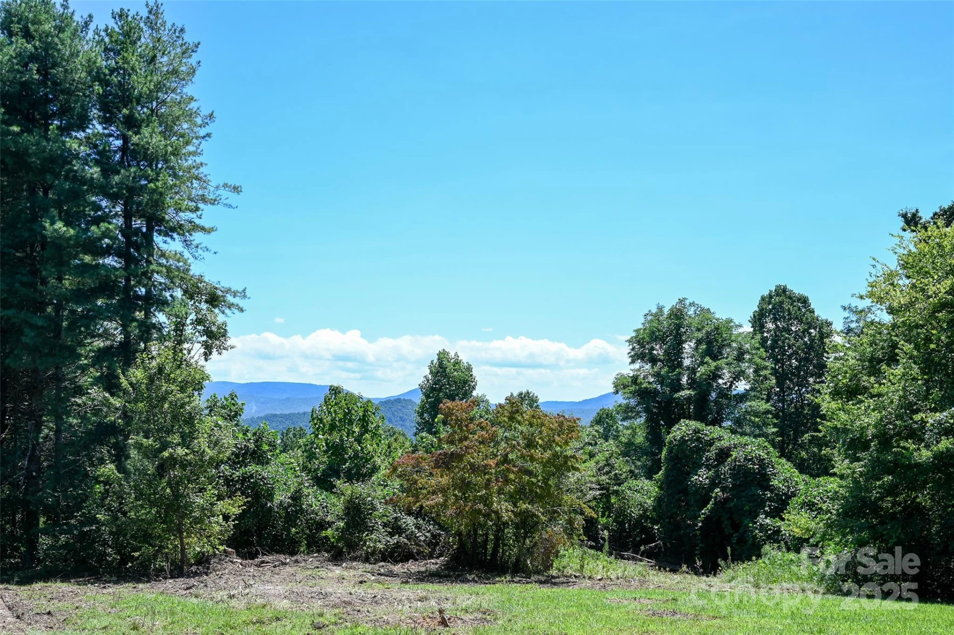371 Heatherly Heights Road - Photo 5