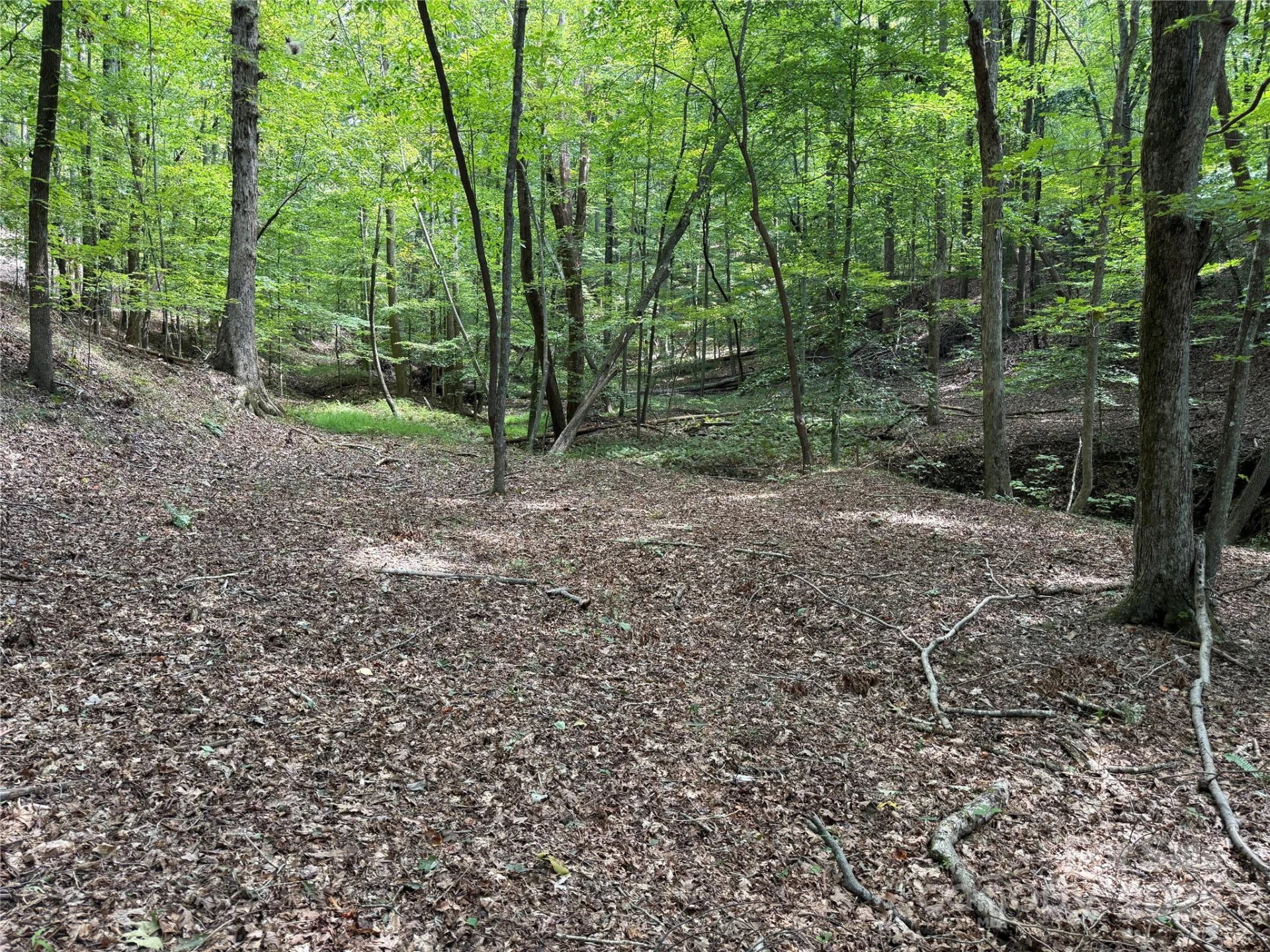 0 Mountain Brook Trail #298 - Photo 6