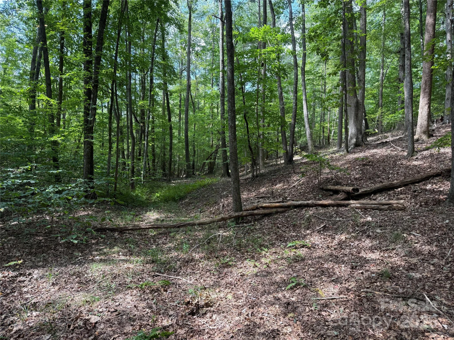 0 Mountain Brook Trail #298 - Photo 7