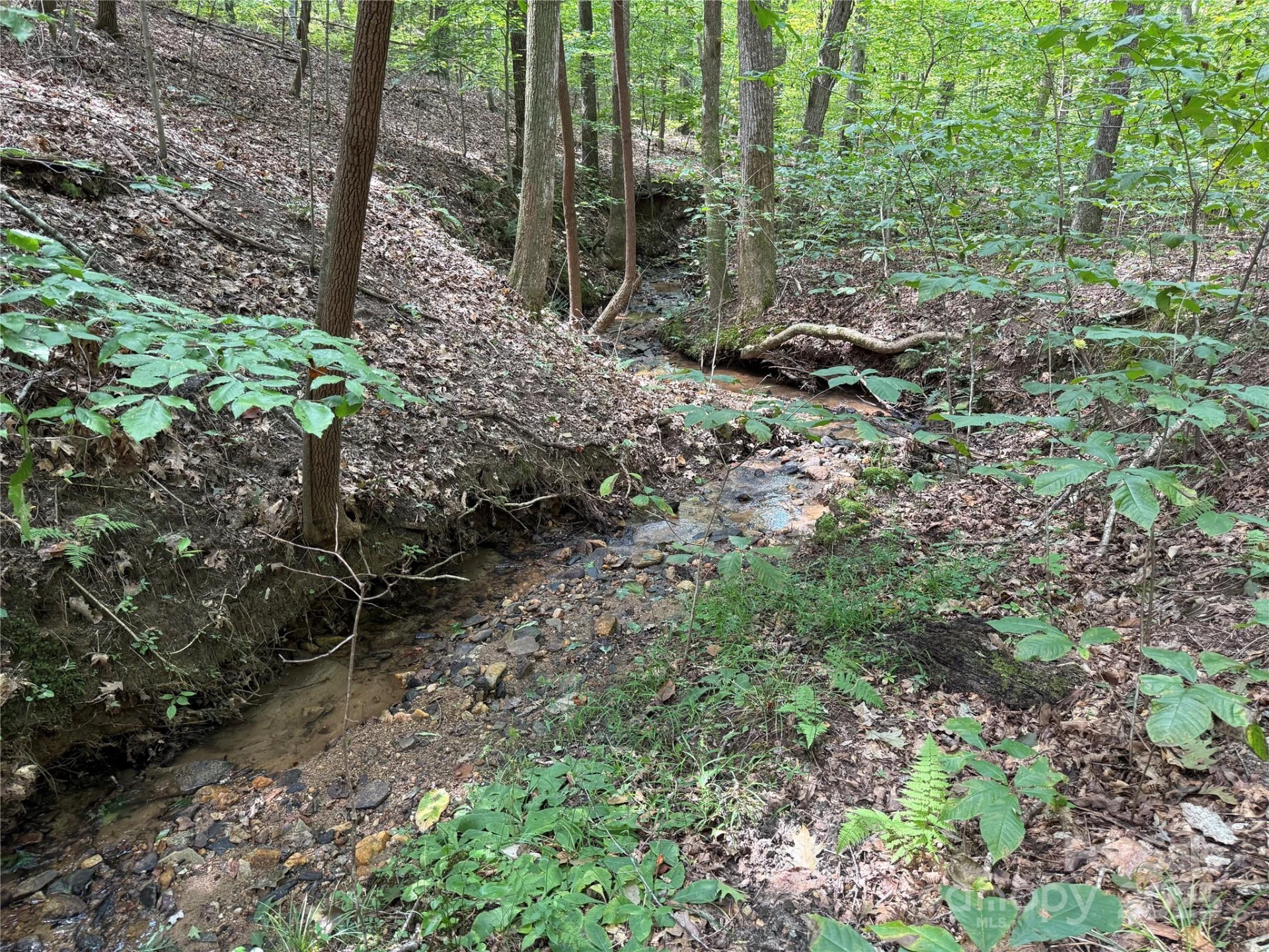 0 Mountain Brook Trail #298 - Photo 8