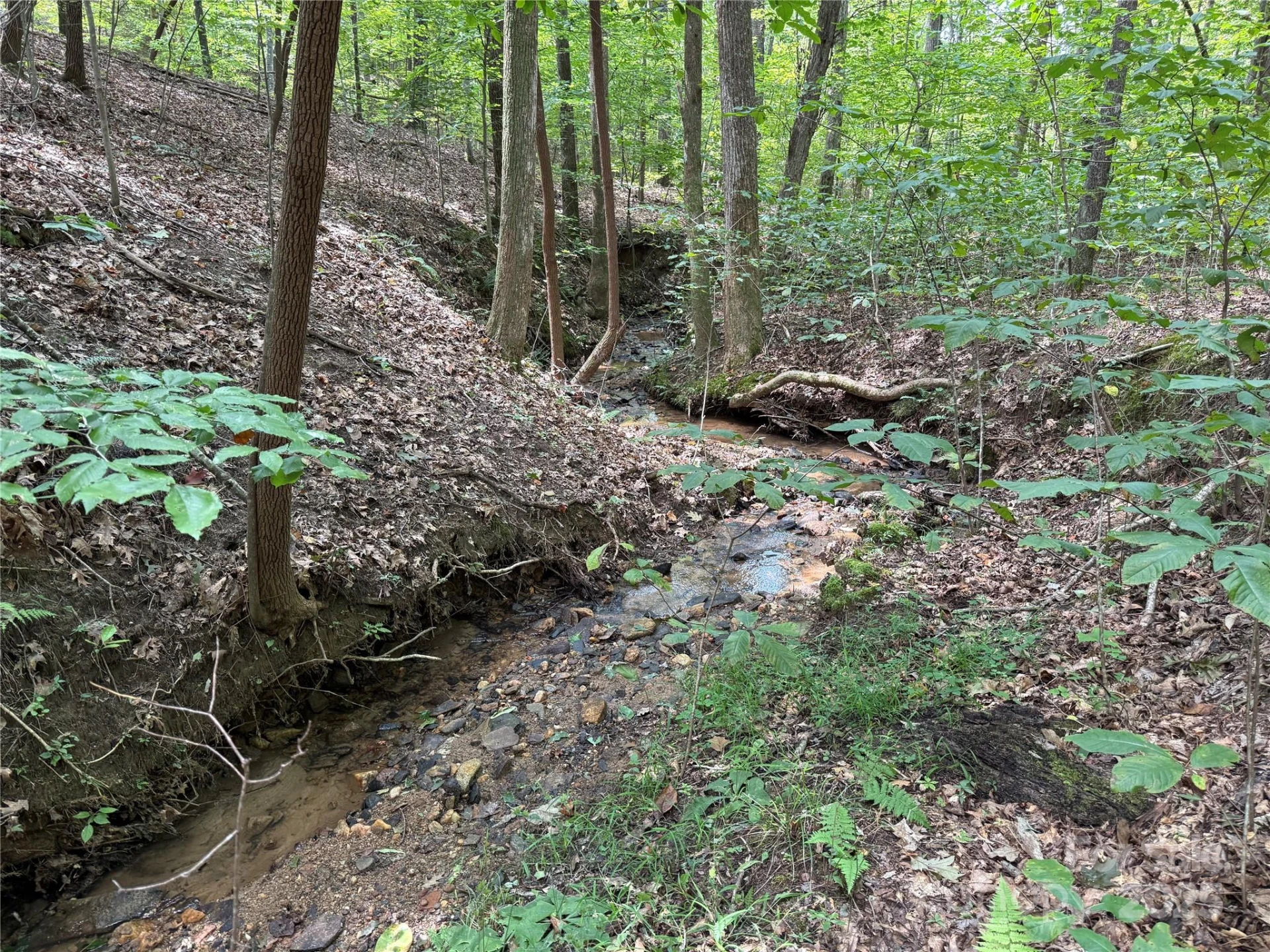 0 Mountain Brook Trail #298 - Photo 9