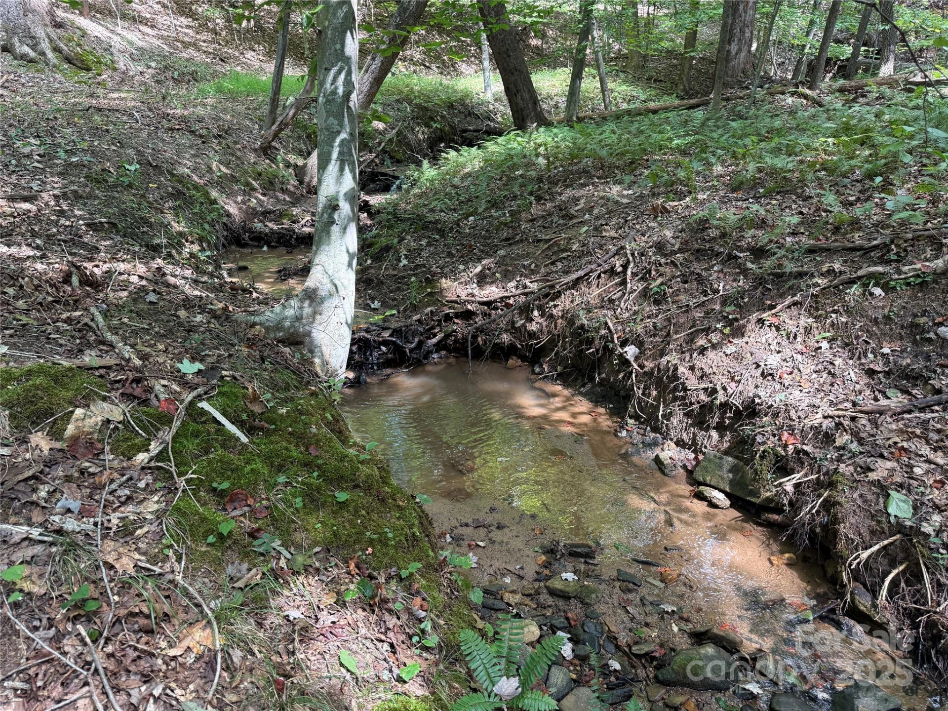 0 Mountain Brook Trail #298 - Photo 11