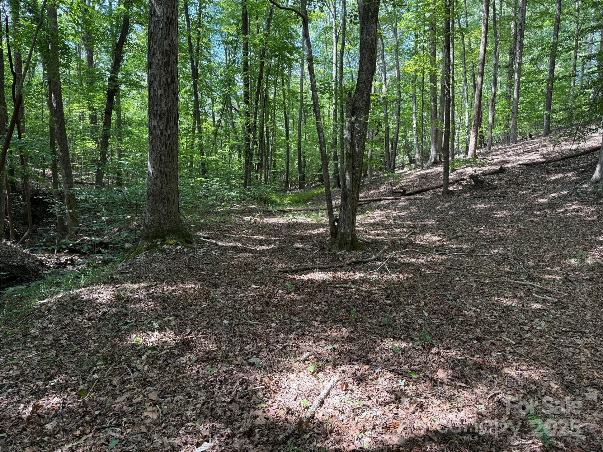 0 Mountain Brook Trail #298 - Photo 13