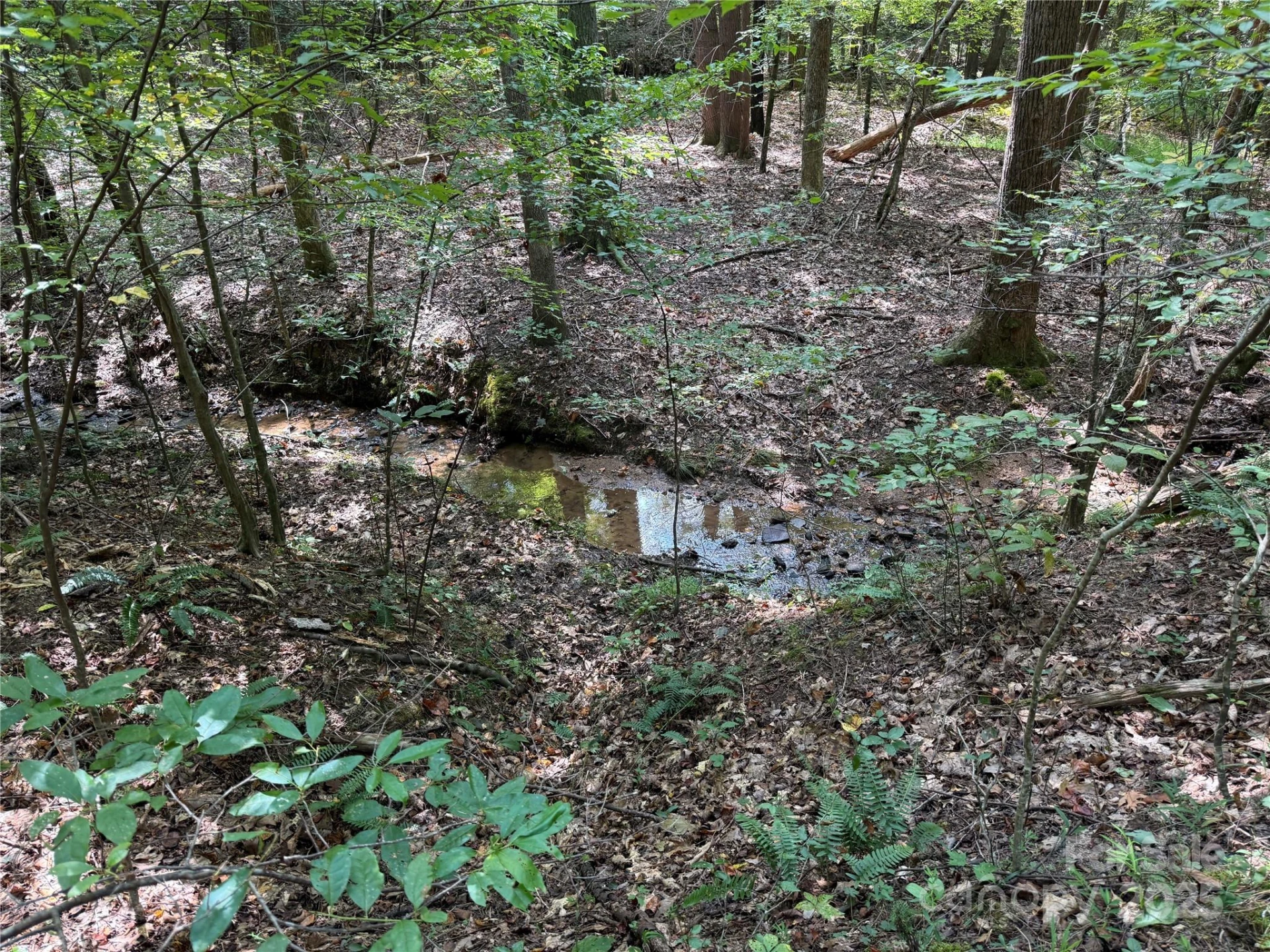 0 Mountain Brook Trail #298 - Photo 16