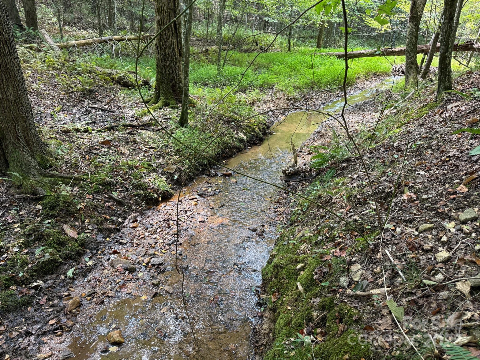0 Mountain Brook Trail #298 - Photo 17