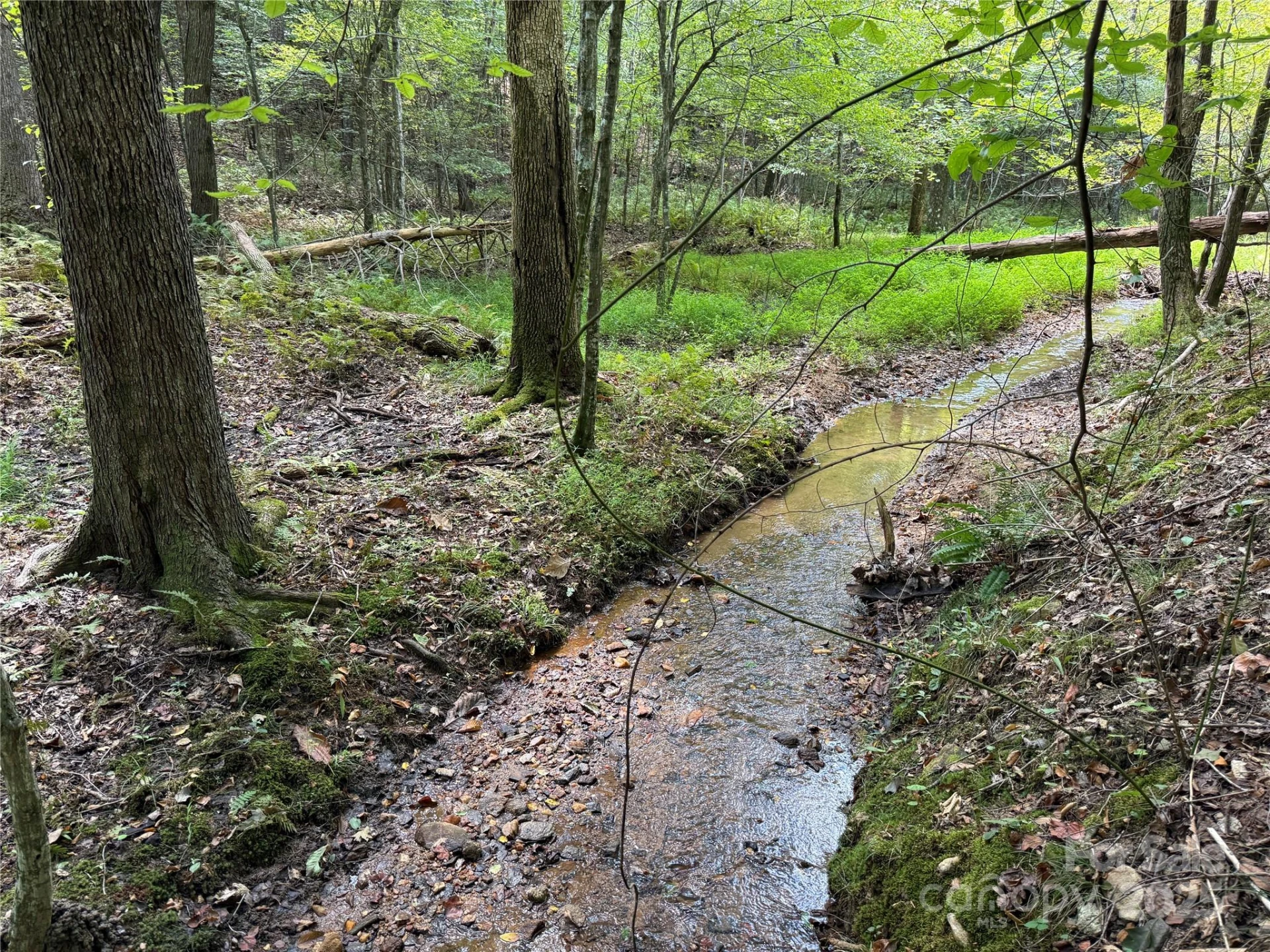 0 Mountain Brook Trail #298 - Photo 18