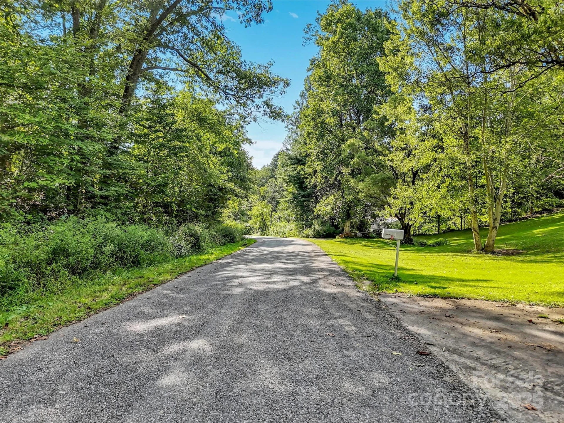 323 Jody Cove - Photo 9