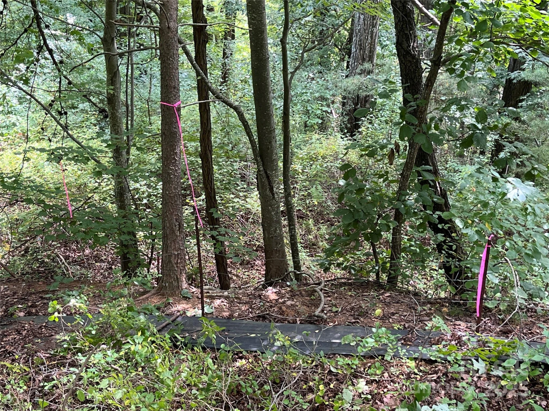 4 Summit View Drive #4 - Photo 15