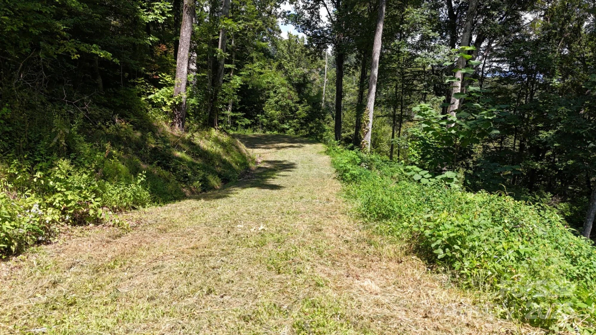 2222 Sleepy Hollow Drive - Photo 12