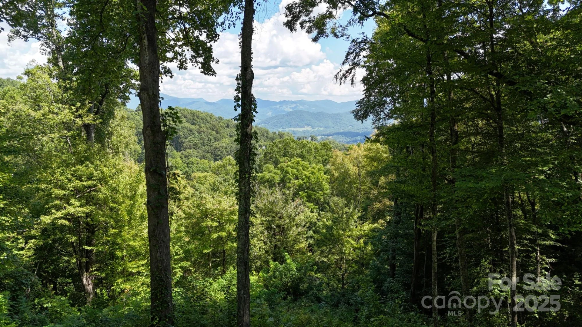 2222 Sleepy Hollow Drive - Photo 3