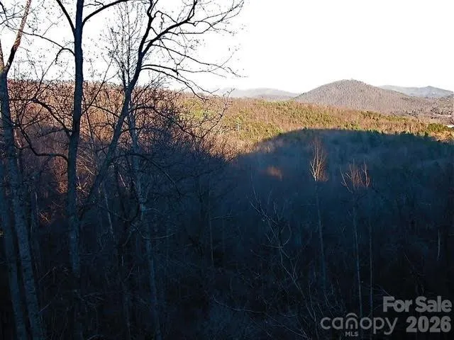 52 Hope View Road, Swannanoa, NC, 28778