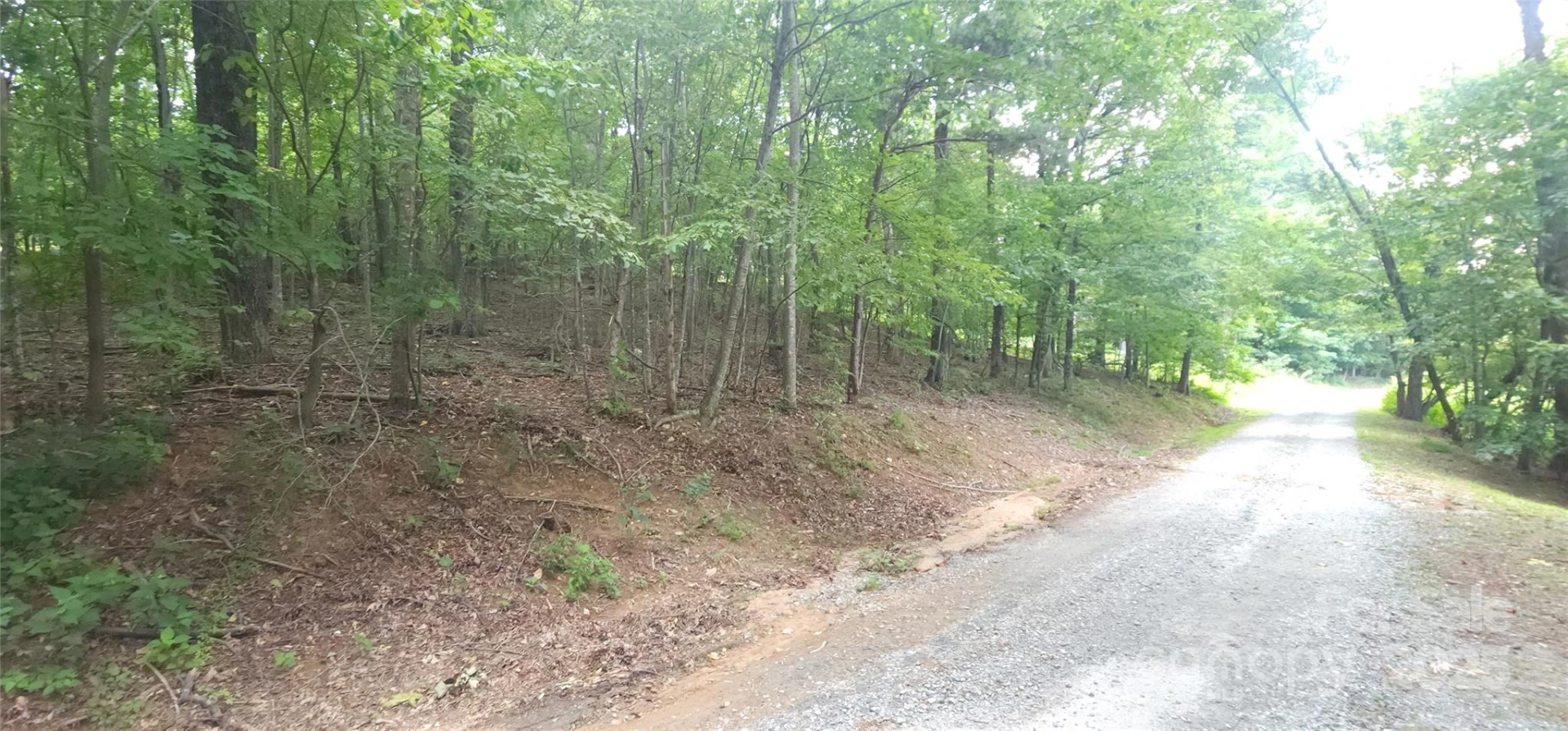 Lot 80 Serpentine Drive #80A - Photo 13