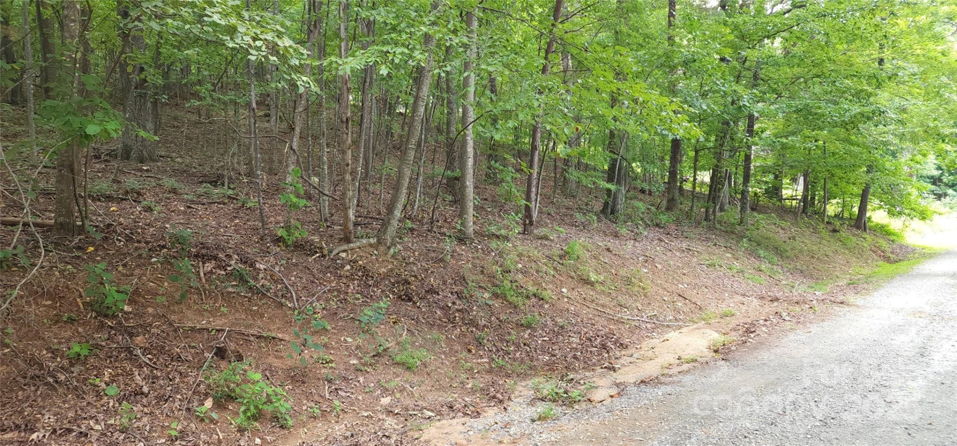 Lot 80 Serpentine Drive #80A - Photo 16