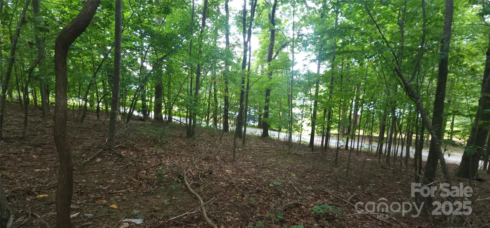 Lot 80 Serpentine Drive #80A - Photo 4