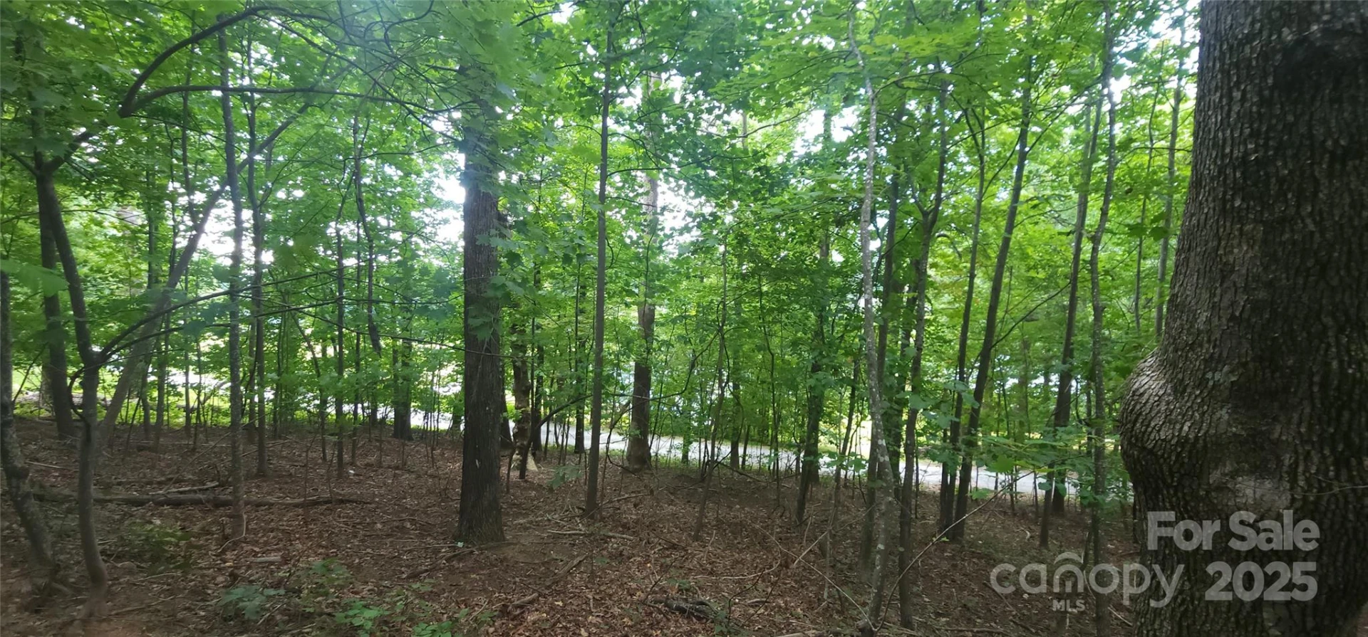 Lot 80 Serpentine Drive #80A - Photo 5