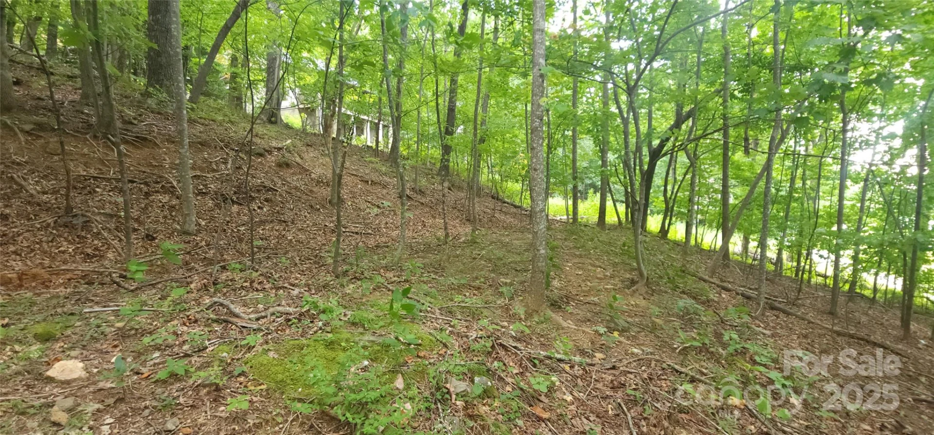 Lot 80 Serpentine Drive #80A - Photo 6