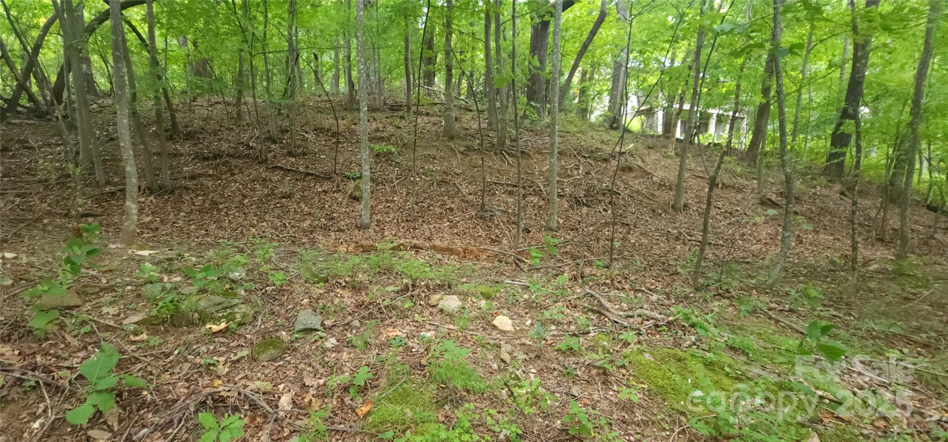 Lot 80 Serpentine Drive #80A - Photo 7