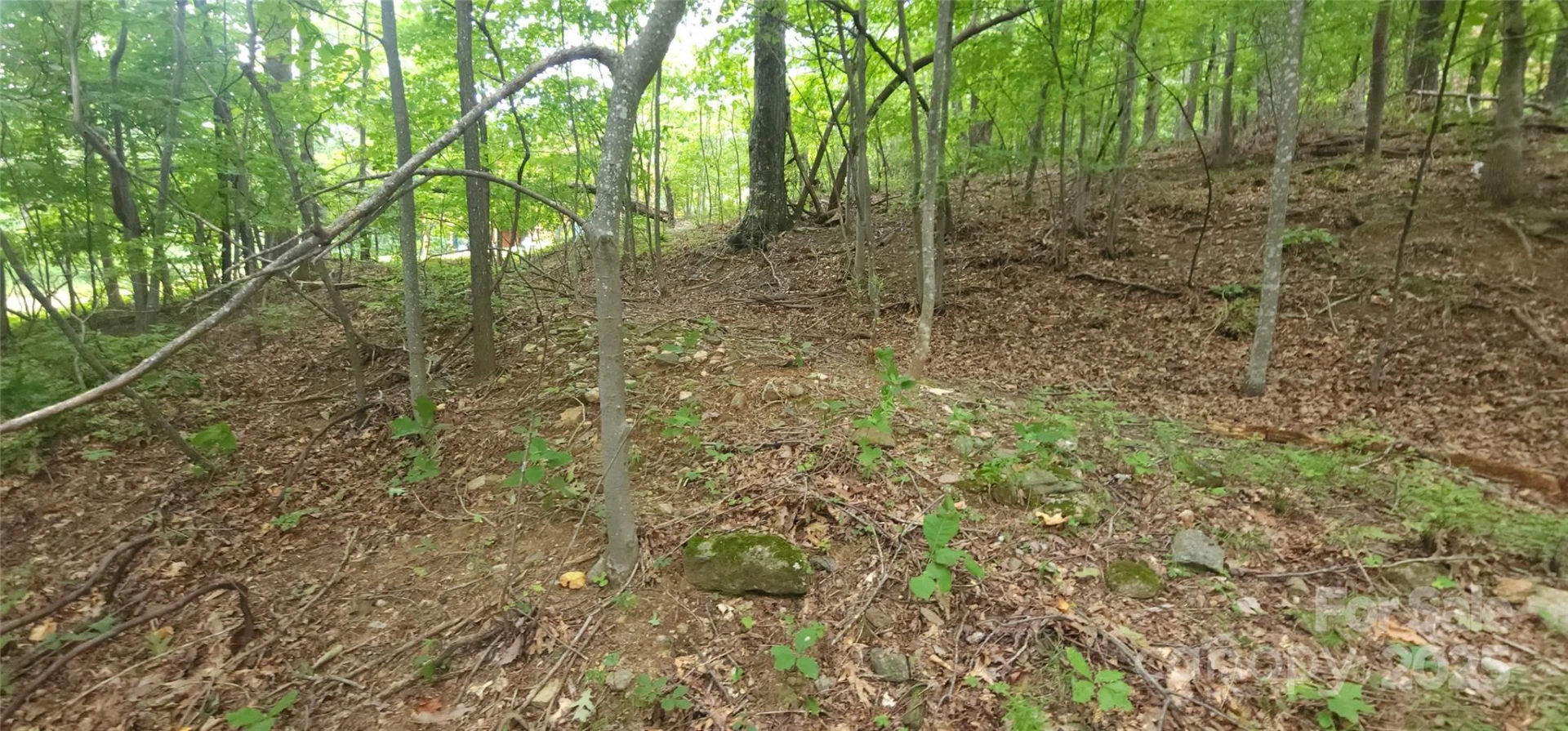 Lot 80 Serpentine Drive #80A - Photo 8