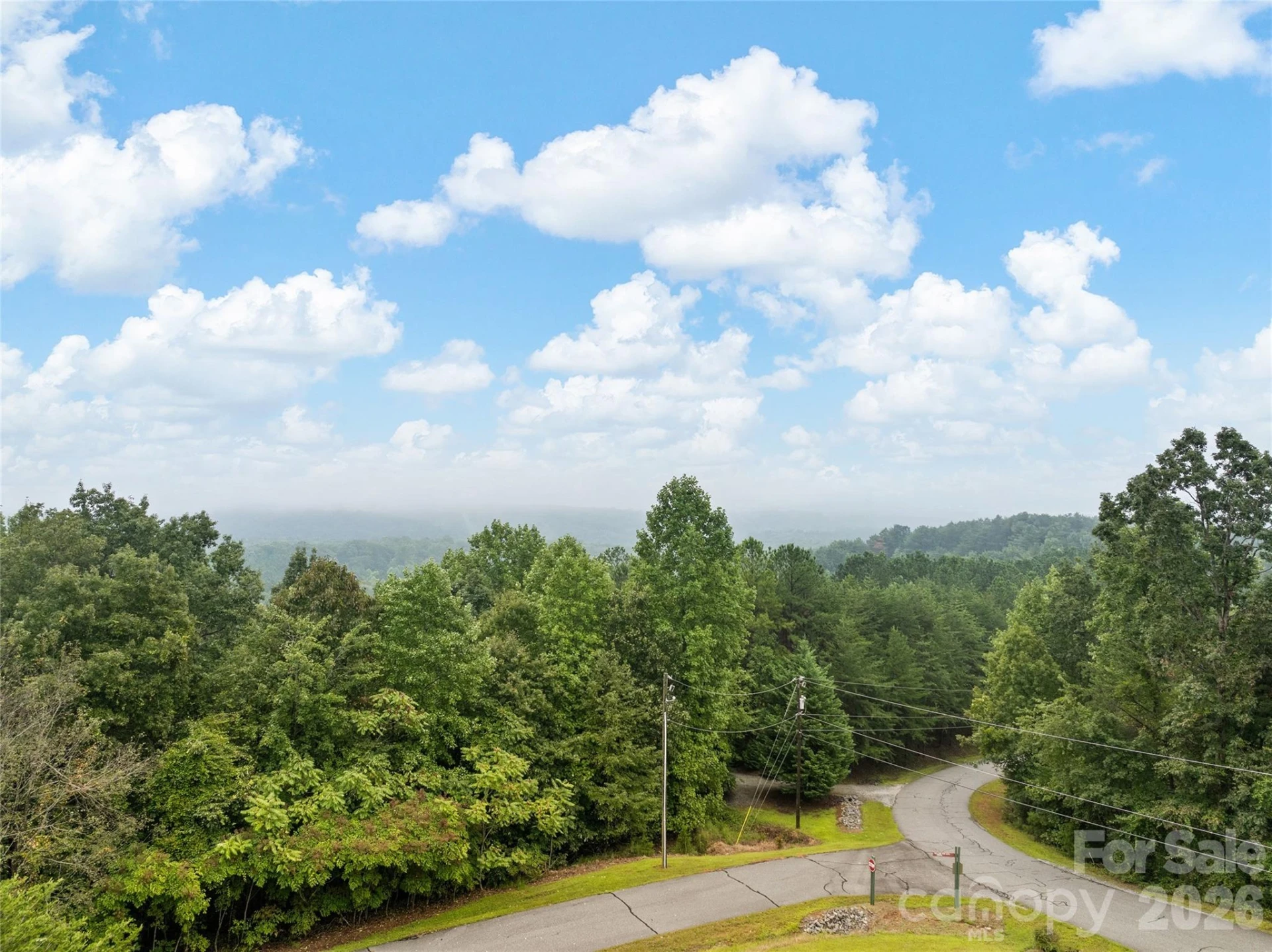 352 Arbra Mountain Way - Photo 9