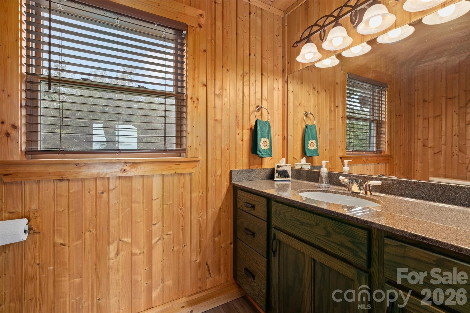 352 Arbra Mountain Way - Photo 19