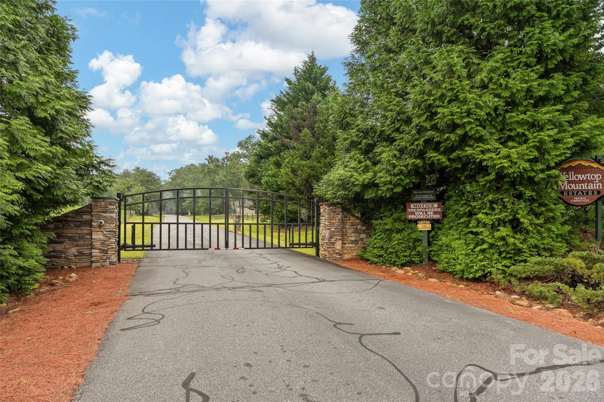 352 Arbra Mountain Way - Photo 30