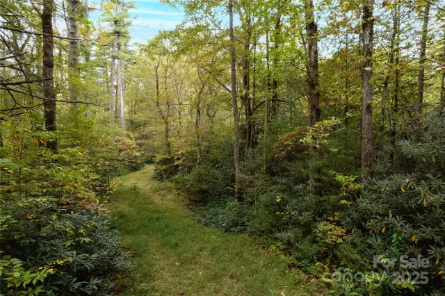 00 Beaumont Drive, Cedar Mountain, NC, 28718