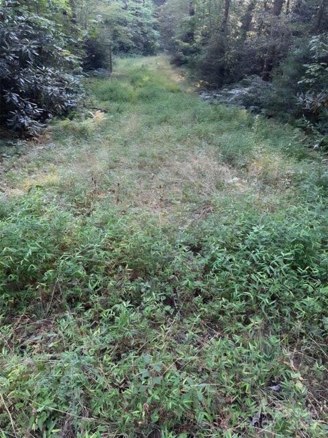00 Beaumont Drive - Photo 3